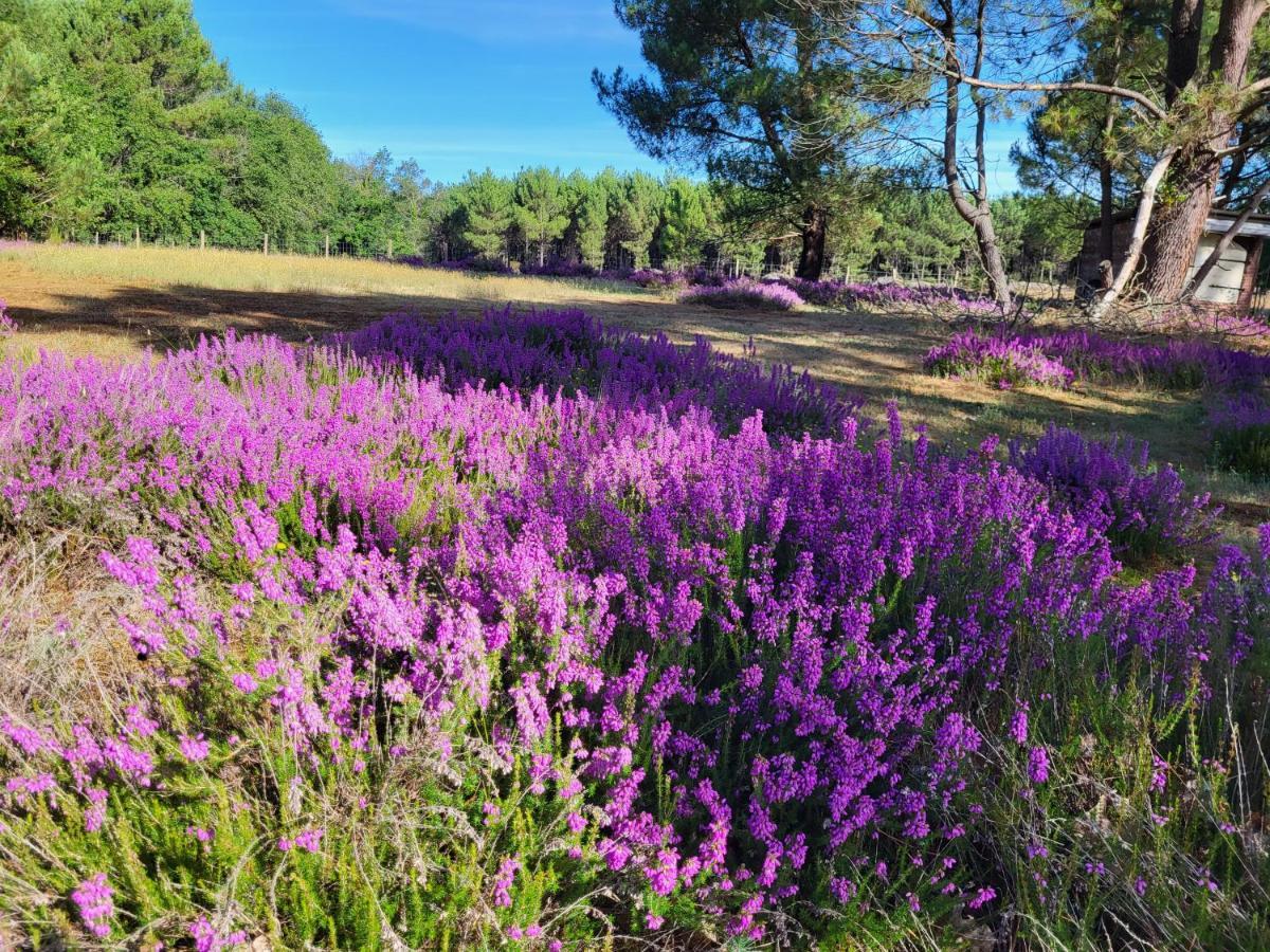 Domaine De La Sarrotte Bed and Breakfast Saugon Εξωτερικό φωτογραφία